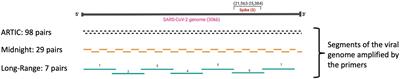 Genomic surveillance of SARS-CoV-2 using long-range PCR primers